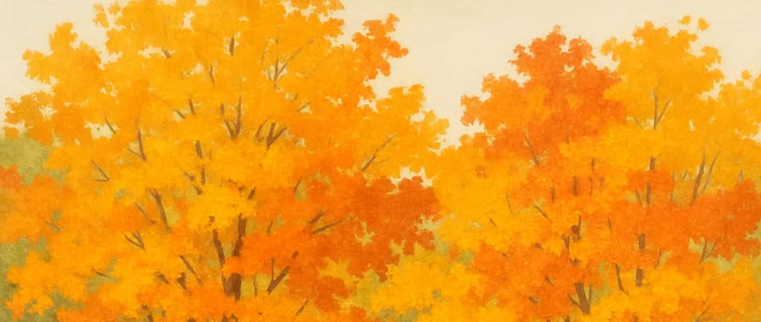 Colorful autumn leaves on the ground